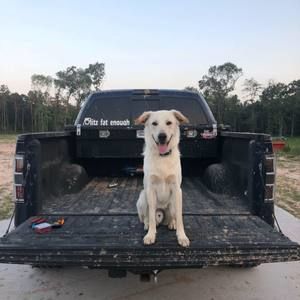 Meet your Posher, Trey